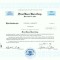 127 Certificat actiuni SUA - perforat -pentru colectionari