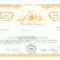 129 Certificat actiuni SUA - perforat -pentru colectionari