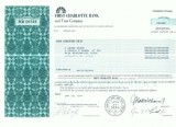 133 Certificat actiuni SUA - perforat -pentru colectionari