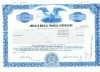 153 Certificat actiuni SUA - perforat -pentru colectionari