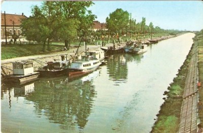 R1996 Timisoara Vaporase pe Bega circulat timbru dezlipit foto