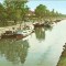 R1996 Timisoara Vaporase pe Bega circulat timbru dezlipit