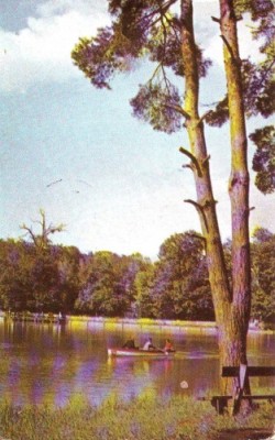 R1811 Sibiu Lacul din Dumbrava circulat 1965 RPR foto