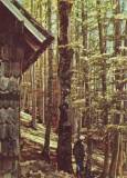R1826 Sinaia Piscul Cainelui circulat 1963 RPR