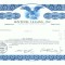 171 Certificat actiuni SUA - perforat -pentru colectionari