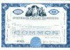 172 Certificat actiuni SUA - perforat -pentru colectionari