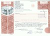 177 Certificat actiuni SUA - perforat -pentru colectionari