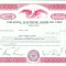 181 Certificat actiuni SUA - perforat -pentru colectionari
