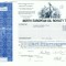 187 Certificat actiuni SUA - perforat -pentru colectionari