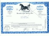 189 Certificat actiuni SUA - perforat -pentru colectionari