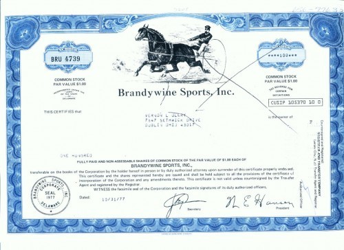 189 Certificat actiuni SUA - perforat -pentru colectionari 189 Certificat actiuni SUA - perforat -pentru colectionari