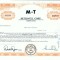 191 Certificat actiuni SUA - perforat -pentru colectionari