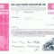 196 Certificat actiuni SUA - perforat -pentru colectionari