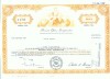 197 Certificat actiuni SUA - perforat -pentru colectionari