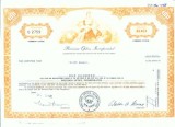 197 Certificat actiuni SUA - perforat -pentru colectionari