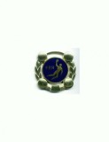 Medalie Handbal FRH Trofeul Carpati 1995, 6x6cm, 26gr, Aluminiu, Unifata, Aurie