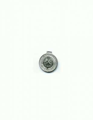 29 Medalie Schi (Ski) - diametru aprox 3,2 cm -greut.cca.18 gr. foto