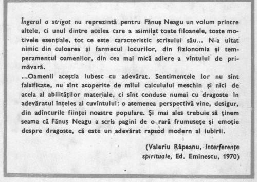 Fanus Neagu - ingerul a strigat