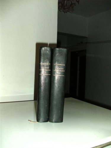 SCHOPENHAUER- LE MONDE COMME VOLONTE ET COMME REPRESENTATION SCHOPENHAUER- LE MONDE COMME VOLONTE ET COMME REPRESENTATION