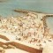 R2136 RPR Eforie Nord plaja circulat 1964