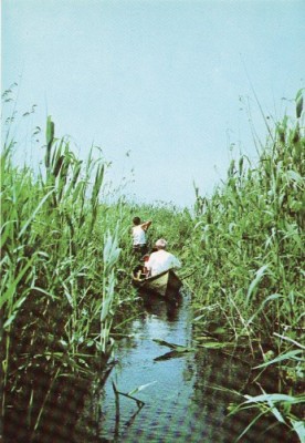 Delta Dunarii (Tulcea) - Vedere 2 foto