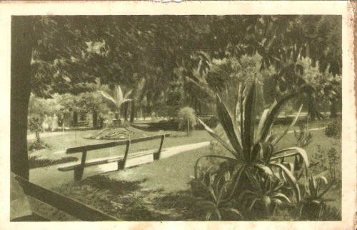 3202 Buzias Parcul necirculat 1939