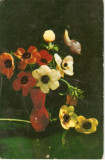 YR02502 Anemone flori flora vaza ceramica circulat 1964 RPR