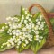 YR02512 Lacramioare flori flora cos implrtit din nuiele circulat 1960 RPR