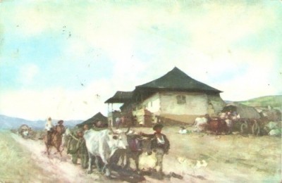 R2542 RPR Care cu boi la Oratii Grigorescu foto