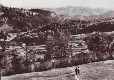 R258o Muntii Apuseni Serpentine la Piatra Craiului RPR foto