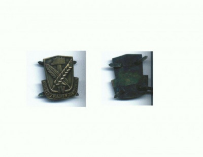 116 Emblema Kongres -dimens. aprox. 3,8X4,5 cm, gr. cca.24gr. foto