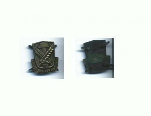 116 Emblema Kongres -dimens. aprox. 3,8X4,5 cm, gr. cca.24gr.