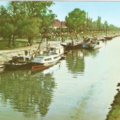 R2178 RPR Timisoara Canalul Bega circulat 1963