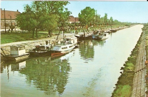 R2178 RPR Timisoara Canalul Bega circulat 1963