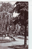 R2639 Bacau Vedere din Parc circulat 1966 RPR