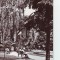 R2639 Bacau Vedere din Parc circulat 1966 RPR