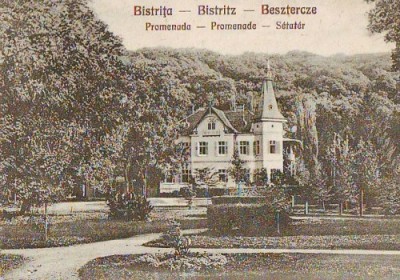 B355 Bistrata Promenada necirculat stare perfeta foto