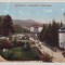B407 Baila Bartfa Ungaria circulat 1917 timbru dezlipit