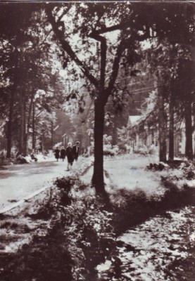 B2758 Baile Moneasa Parcul circulat 1963 RPR foto