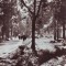 B2758 Baile Moneasa Parcul circulat 1963 RPR