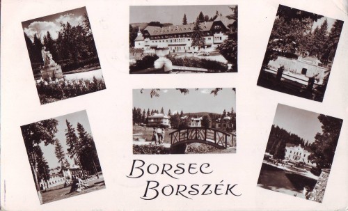 R2783 Borsec Vederi multiple circulat 1961 RPR R2783 Borsec Vederi multiple circulat 1961 RPR