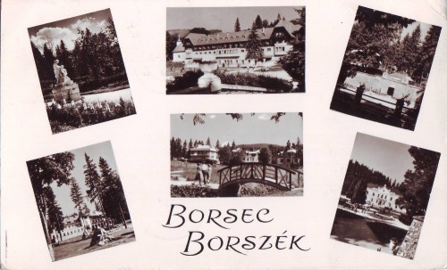 R2783 Borsec Vederi multiple circulat 1961 RPR