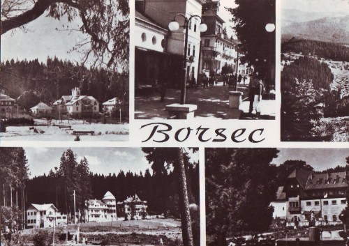 R2786 Borsec Vederi Multiple circulat 1962 RPR R2786 Borsec Vederi Multiple circulat 1962 RPR