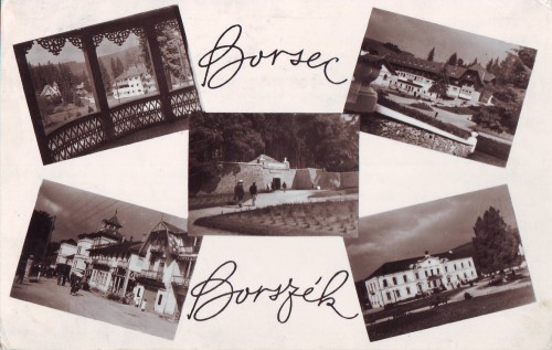 R2787 Borsec Vederi Multiple circulat 1961 RPR R2787 Borsec Vederi Multiple circulat 1961 RPR
