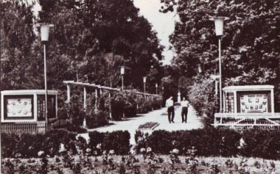 R2986 Buzias Parcul circulat 1965 RPR foto