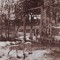R2969 Busteni parcul zoologic circulat 1958 RPR