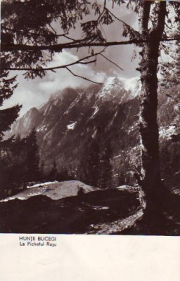 R2930 Bucegi La Pichetul Rosu circulat 1960 RPR foto R2930 Bucegi La Pichetul Rosu circulat 1960 RPR foto
