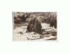CP152-06 Sovata -Baile si Lacul Ursu -RPR -sepia -circ. 1954