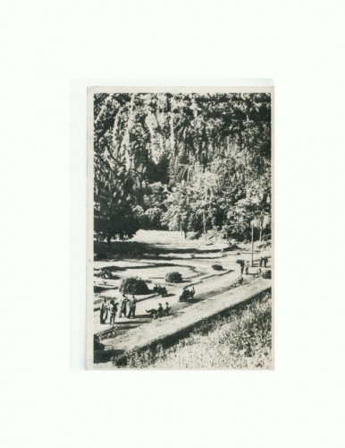CP152-15 Slanic Moldova -Vedere din parc-RPR -sepia-circ.1956 CP152-15 Slanic Moldova -Vedere din parc-RPR -sepia-circ.1956