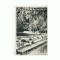 CP152-15 Slanic Moldova -Vedere din parc-RPR -sepia-circ.1956